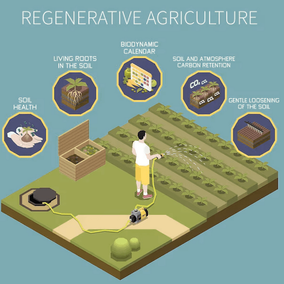 AI for Soil Analysis and Crop Yield Prediction